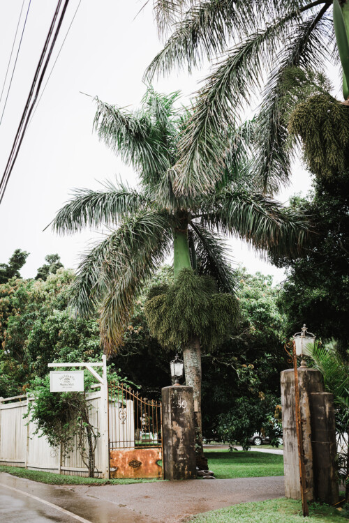 Matias Ezcurra Photography, Entrance to Haiku Mill with rusty gate and palm tree, featuring a sign for Anthony LaPaglia & Alexandra Henkel's wedding.