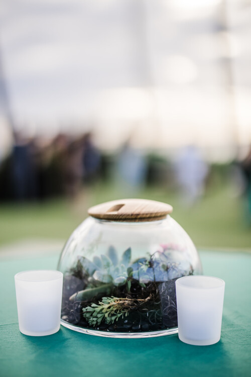 Matias Ezcurra Photography, Succulent terrarium centerpiece at Tim + Richelle's wedding reception.