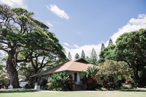 Matias Ezcurra Photography, Quaint bungalow nestled amongst lush tropical foliage and mature trees on a sunny day.