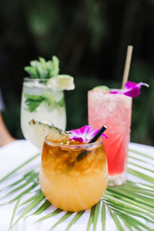 Matias Ezcurra Photography, Three tropical cocktails: Mai Tai, Mojito, and a pink drink garnished with orchids and pineapple.