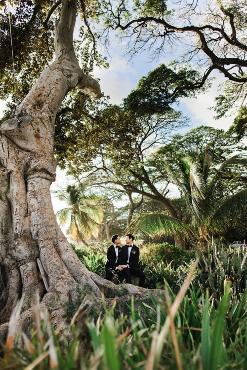 Matias Ezcurra Photography, Two grooms in tuxedos sit together at the base of a large tree, gazing at each other.