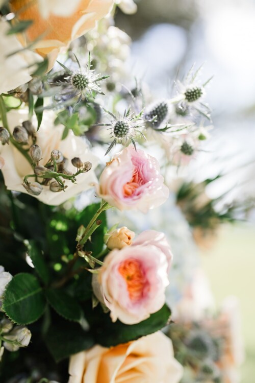 Matias Ezcurra Photography, Close-up of pastel pink and peach roses and thistle blossoms in a floral arrangement.