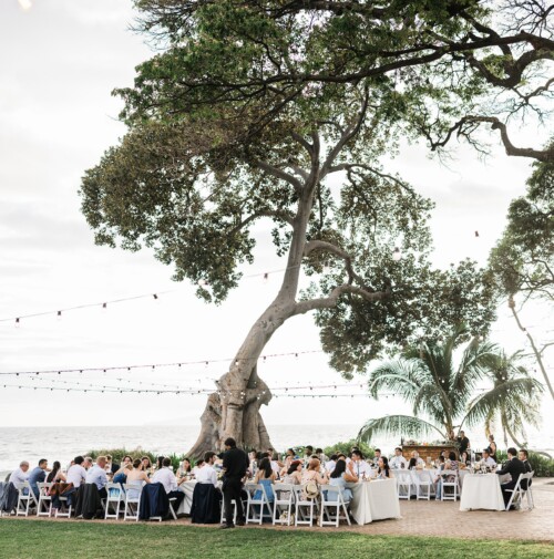 Matias Ezcurra Photography, Wedding reception guests seated at long tables under a large tree, ocean view